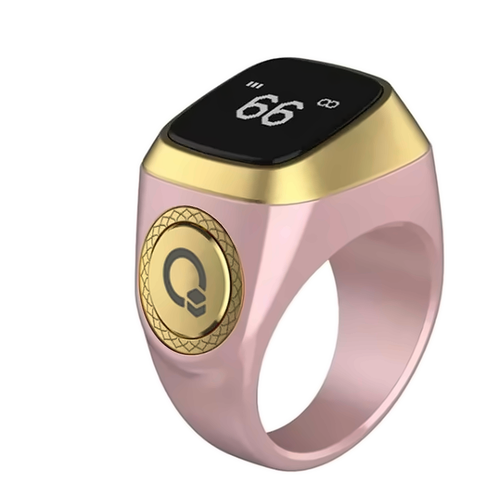 Anillo subhanic